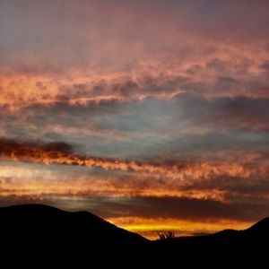 Meet your Posher, Cynthia